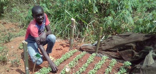 showdownkenyaproject