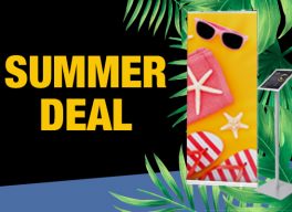Summer deal small